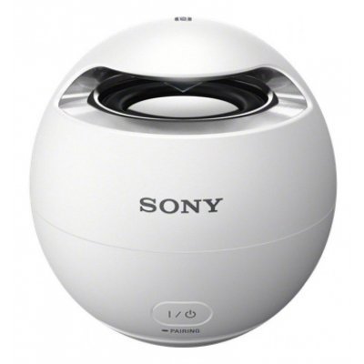    Sony SRS-X1 