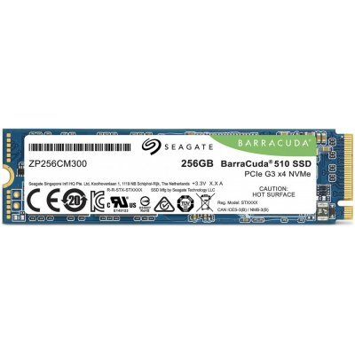   SSD Seagate ZP256CM30041 256Gb