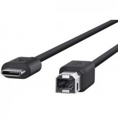 Кабель USB Belkin F2CU035bt06-BLK (F2CU035bt06-BLK) Кабель USB Belkin F2CU035bt06-BLK (F2CU035bt06-BLK)Кабели USB Belkin<br>USB-C to USB-B Printer Cable<br>