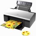 ������� Epson Stylus Photo R290 / C11C691321
