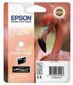 �������� (C13T08704010) EPSON T0870 ��� Stylus Photo R1900 (Gloss Optimizer) �������