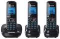 ������������ Panasonic KX-TG5513RUB