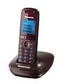 ���. �/������ Panasonic KX-TGA551RUR