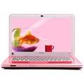 ������� Sony VAIO CA1S1R/P