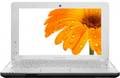 ������ Lenovo IdeaPad S100 (59312485)