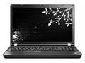 ������� Lenovo ThinkPad Edge E525 (NZ629RT)