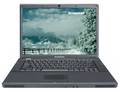 ������� Lenovo IdeaPad G530 (59017899)