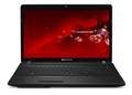 ������� Packard Bell EASYNOTE LS11-HR-528RU (LX.BX102.017)