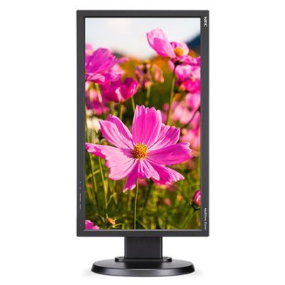 Фото Монитор NEC 20" E203Wi-BK - #1