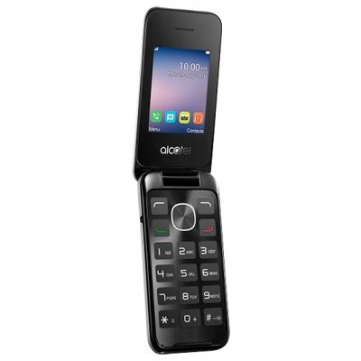 Фото Мобильный телефон Alcatel OneTouch 2051D серебристый - #1
