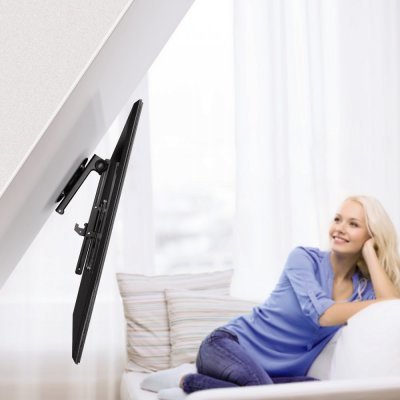       Hama TV Ceiling Mount - #7