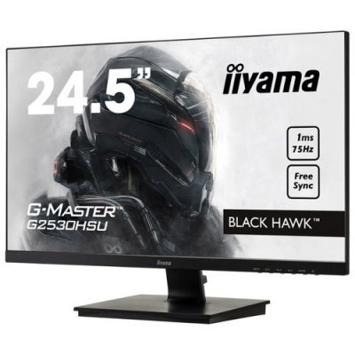 Фото Монитор IIYAMA 24.5" G2530HSU-B1 - #1