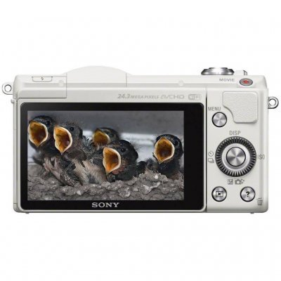 ���� �������� ���������� Sony Alpha 5100 Kit + �������� 16-50 �� ����� - #1