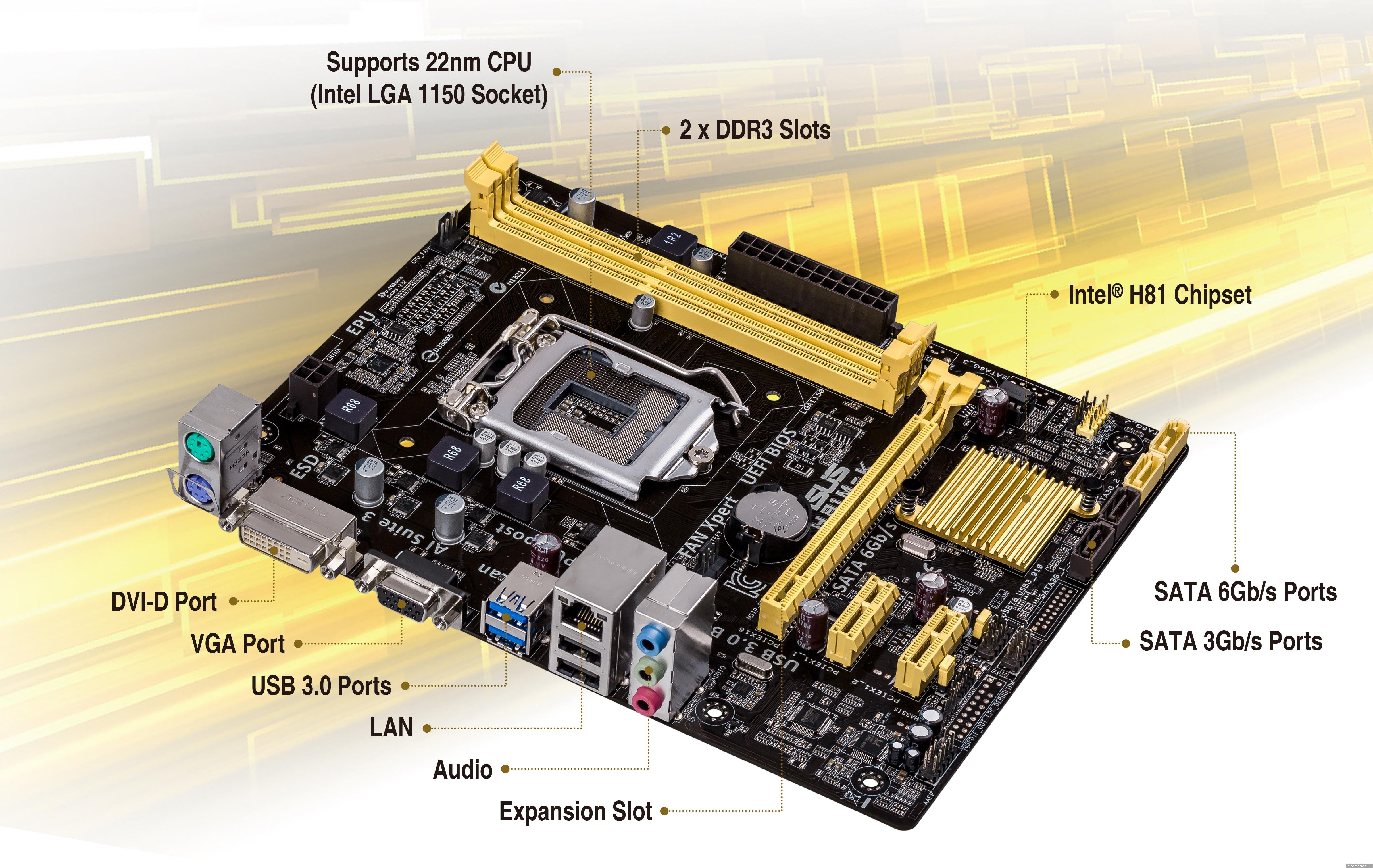 Сокет lga1150. Mainboard ASUS h81m-k. ASUS h81m-k lga1150. ASUS h81m-k 1. Материнская плата ASUS h81m2.