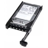   Dell 300GB SAS 10k rpm Hot Plug 2.5" HDD Fully Assembled Kit for servers 13 Generation, (400-AEEE)