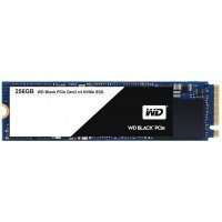    Western Digital WDS256G1X0C 256GB