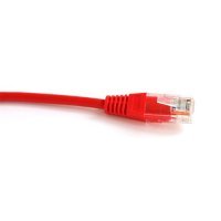  Patch Cord Lanmaster TWT (TWT-45-45-20-RD)