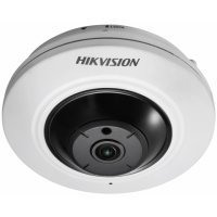   Hikvision DS-2CD2955FWD-I (1.05)
