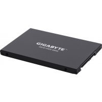    Gigabyte 256GB GP-GSTFS30256GTTD