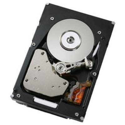 Фото Жесткий диск IBM 300GB 2.5" SFF G2HS (90Y8877)