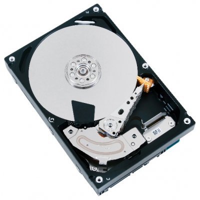    3Tb Toshiba MG03ACA300
