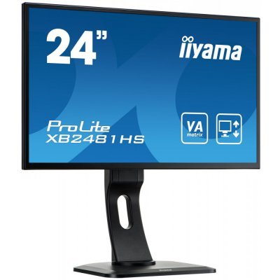   IIYAMA LCD PL2481H (XB2481HS-B1) (<span style="color:#f4a944"></span>)