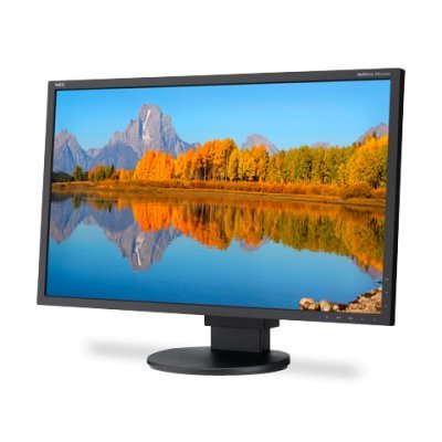   NEC 24" AccuSync AS242W