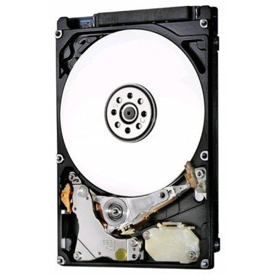     Hitachi HTE721010A9E630 1Tb