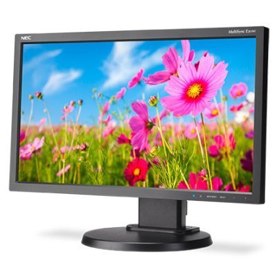 Фото Монитор NEC 20" E203Wi-BK
