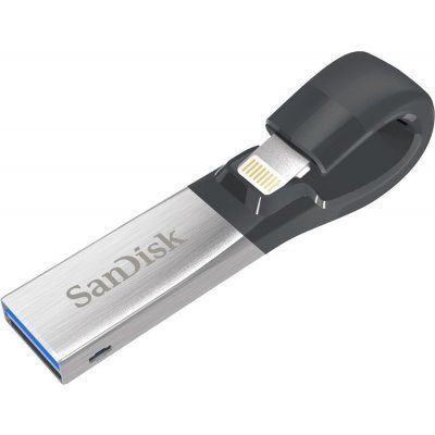 Фото USB накопитель Sandisk SDIX30N-064G-GN6NN