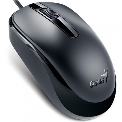 Фото Мышь Genius DX-120 Calm Black USB