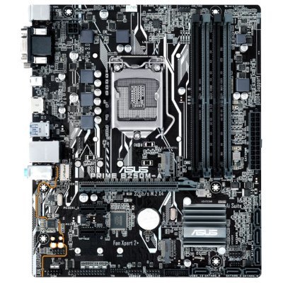     ASUS PRIME B250M-A