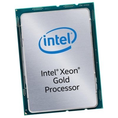   Intel Xeon Gold 5118 Skylake (2017)