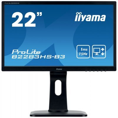   IIYAMA 21.5" ProLite B2283HS-B3