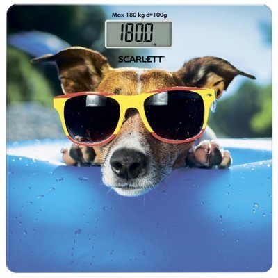   Scarlett SC-BS33E091 /