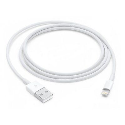   USB to Lightning Apple  1