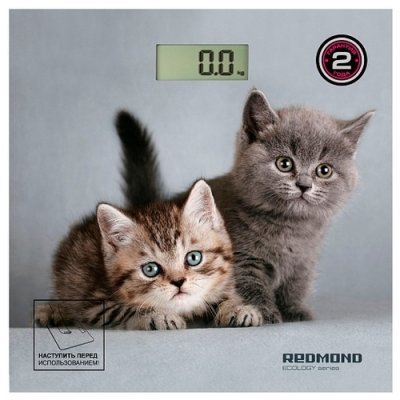 Фото Весы Redmond RS-735