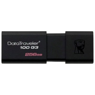  USB  Kingston 256GB DataTraveler 100 G3, USB 3.0 (DT100G3/256GB)