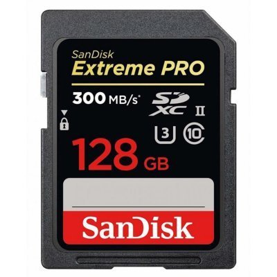 Фото Карта памяти Sandisk 128GB SDXC UHS-1 SDSDXXY-128G-GN4IN
