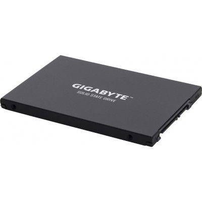 Фото Жесткий диск ПК Gigabyte 256GB GP-GSTFS30256GTTD