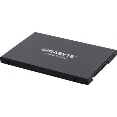     Gigabyte 256GB GP-GSTFS30256GTTD