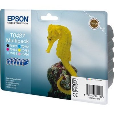   (C13T04874010) EPSON T0487  R200/ R220/ R300/ R320/ R340/ RX500/ RX600/ RX620