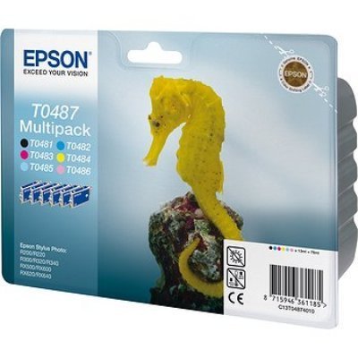   (C13T04874010) EPSON T0487  R200/ R220/ R300/ R320/ R340/ RX500/ RX600/ RX620