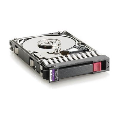     HP 1TB 454146-B21